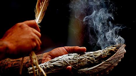 Shaman healer. Things To Know About Shaman healer. 
